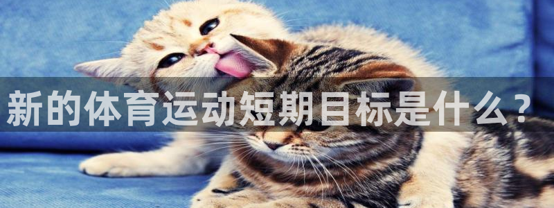 bbin视讯游戏官网