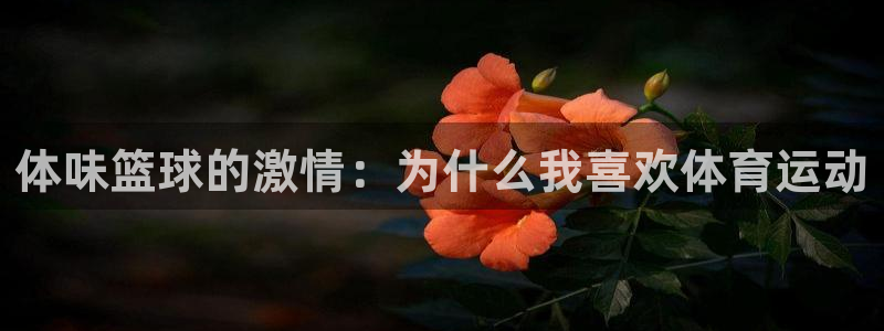 bbin视讯下