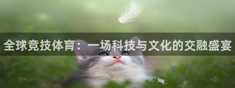 bbin视讯游戏官网