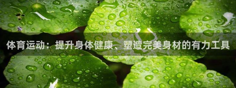 bbin视讯游戏官网
