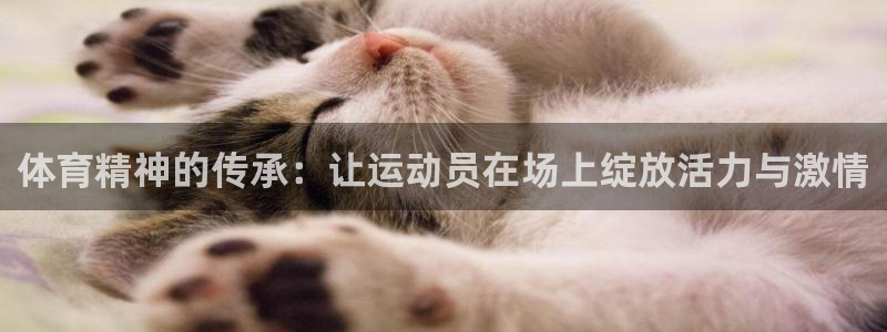 bbin视讯游戏平台