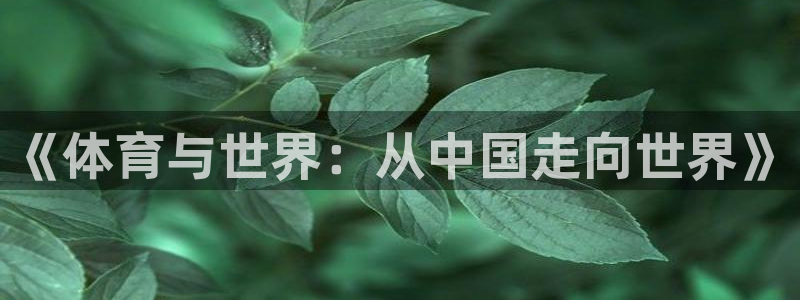 bbin视讯游戏平台