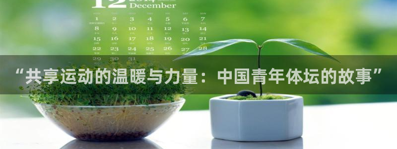 bbin视讯下