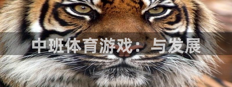 bbin视讯