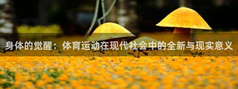 bbin视讯下