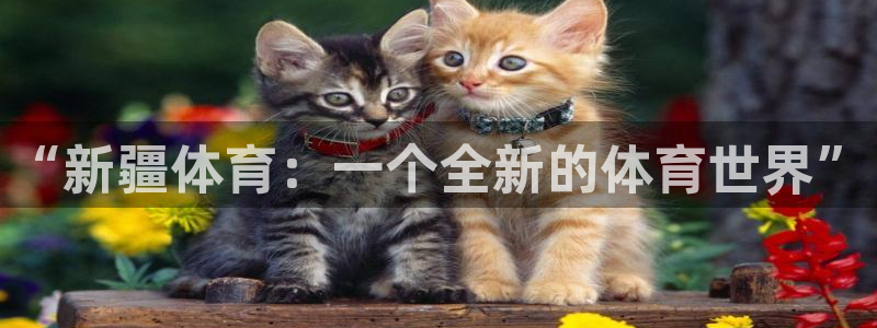 bbin视讯游戏官网