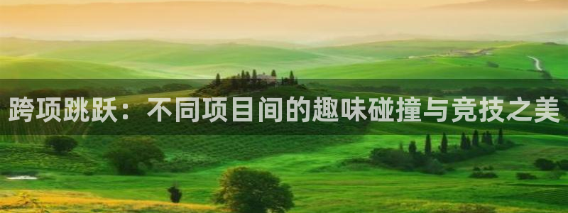 bbin视讯