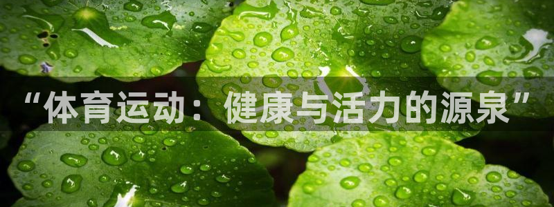 bbin视讯