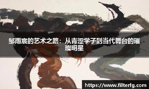 邹雨宸的艺术之路：从青涩学子到当代舞台的璀璨明星