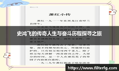 史鸿飞的传奇人生与奋斗历程探寻之旅